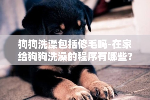 狗狗洗澡包括修毛嗎-在家給狗狗洗澡的程序有哪些？