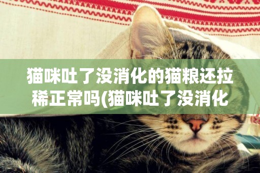 貓咪吐了沒消化的貓糧還拉稀正常嗎(貓咪吐了沒消化的貓糧還拉稀但精神不錯) 