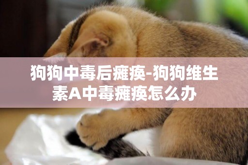 狗狗中毒后癱瘓-狗狗維生素A中毒癱瘓怎么辦