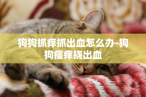 狗狗抓癢抓出血怎么辦-狗狗瘙癢撓出血