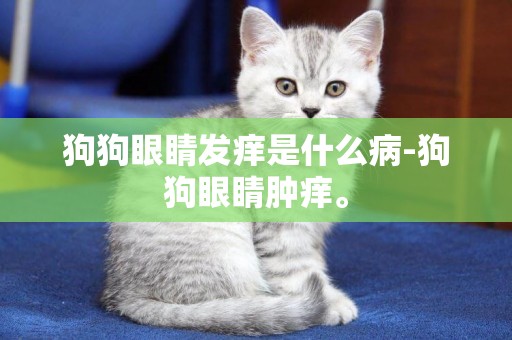 狗狗眼睛發癢是什么病-狗狗眼睛腫癢。