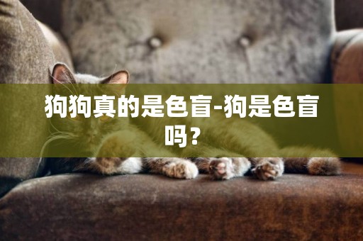 狗狗真的是色盲-狗是色盲嗎？