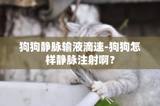 狗狗靜脈輸液滴速-狗狗怎樣靜脈注射啊？