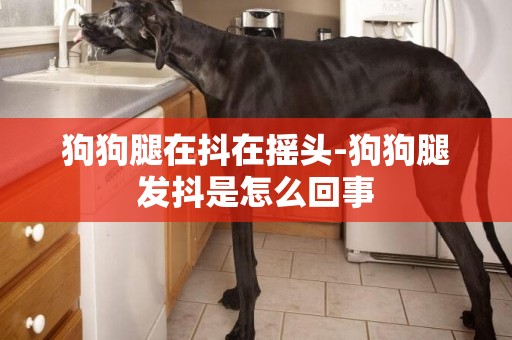 狗狗腿在抖在搖頭-狗狗腿發抖是怎么回事