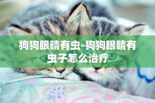 狗狗眼晴有蟲-狗狗眼睛有蟲子怎么治療