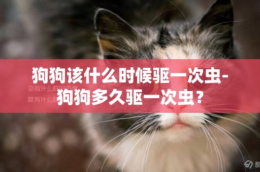 狗狗該什么時候驅一次蟲-狗狗多久驅一次蟲？
