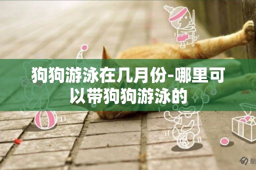狗狗游泳在幾月份-哪里可以帶狗狗游泳的