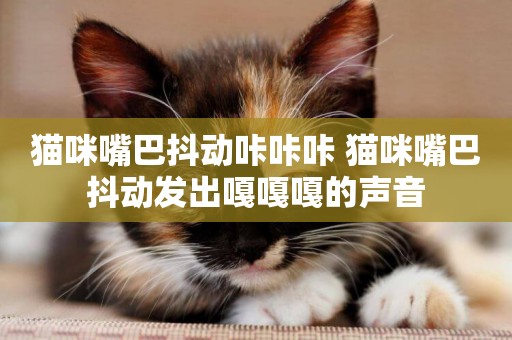 貓咪嘴巴抖動咔咔咔 貓咪嘴巴抖動發出嘎嘎嘎的聲音