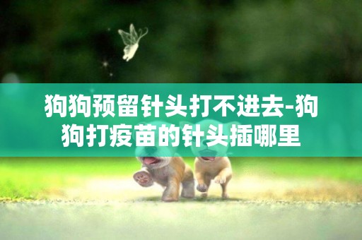 狗狗預留針頭打不進去-狗狗打疫苗的針頭插哪里