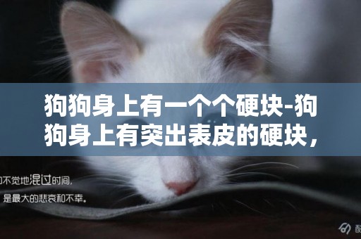 狗狗身上有一個個硬塊-狗狗身上有突出表皮的硬塊，是什么原因？