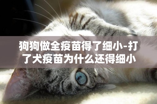 狗狗做全疫苗得了細小-打了犬疫苗為什么還得細小