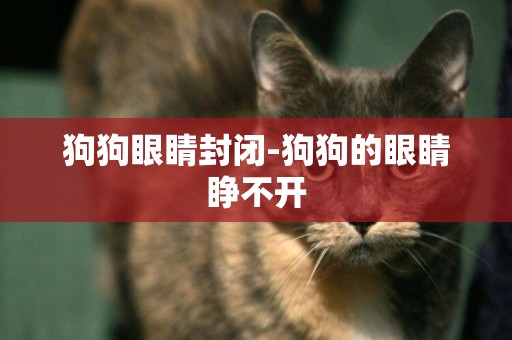 狗狗眼睛封閉-狗狗的眼睛睜不開