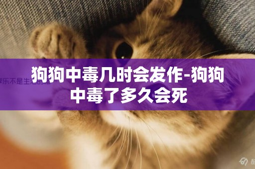 狗狗中毒幾時會發作-狗狗中毒了多久會死