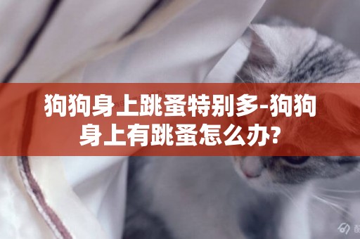 狗狗身上跳蚤特別多-狗狗身上有跳蚤怎么辦?