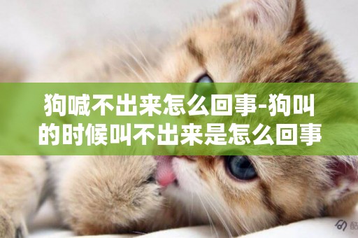 狗喊不出來怎么回事-狗叫的時候叫不出來是怎么回事