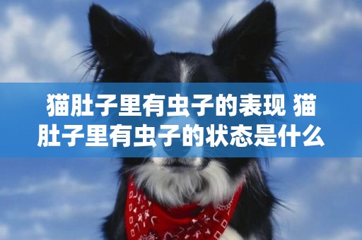 貓肚子里有蟲子的表現 貓肚子里有蟲子的狀態是什么樣的