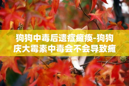 狗狗中毒后遺癥癱瘓-狗狗慶大霉素中毒會不會導致癱瘓