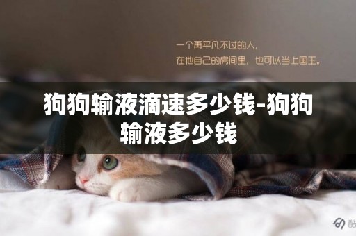 狗狗輸液滴速多少錢-狗狗輸液多少錢