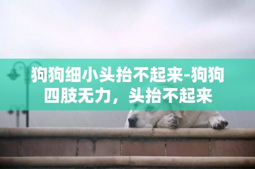 狗狗細小頭抬不起來-狗狗四肢無力，頭抬不起來