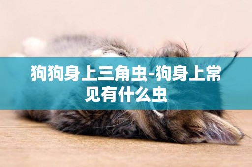 狗狗身上三角蟲-狗身上常見有什么蟲