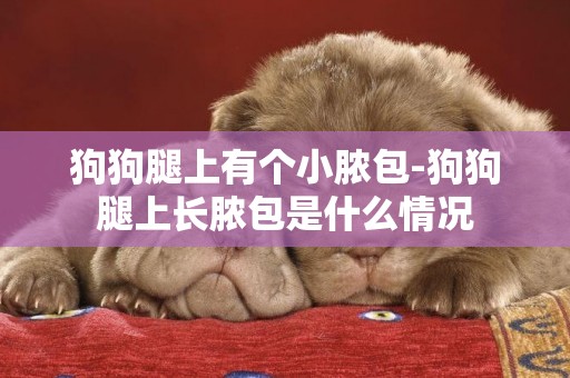 狗狗腿上有個小膿包-狗狗腿上長膿包是什么情況