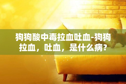 狗狗酸中毒拉血吐血-狗狗拉血，吐血，是什么病？