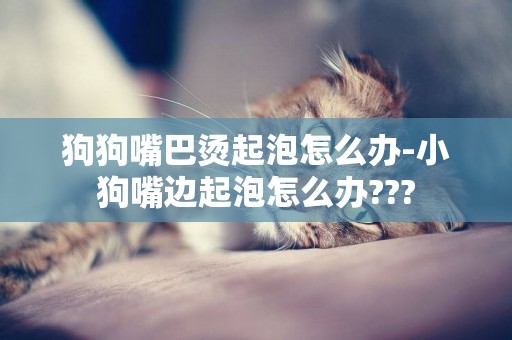 狗狗嘴巴燙起泡怎么辦-小狗嘴邊起泡怎么辦???
