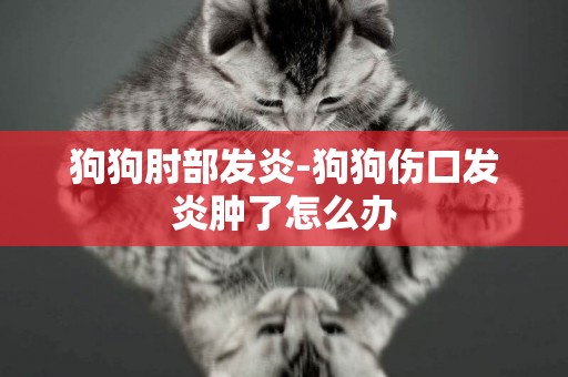狗狗肘部發炎-狗狗傷口發炎腫了怎么辦