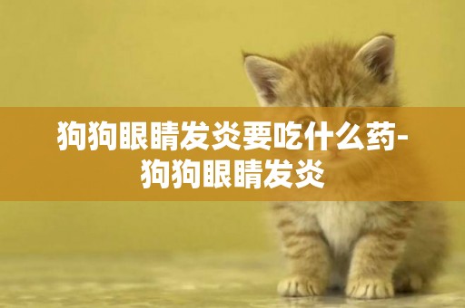 狗狗眼睛發炎要吃什么藥-狗狗眼睛發炎
