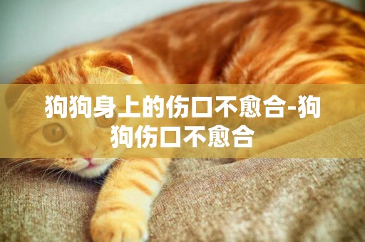 狗狗身上的傷口不愈合-狗狗傷口不愈合