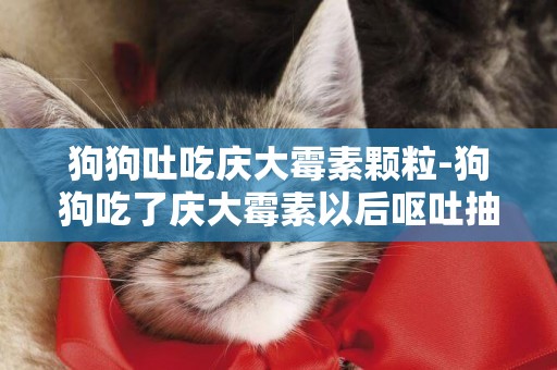 狗狗吐吃慶大霉素顆粒-狗狗吃了慶大霉素以后嘔吐抽搐
