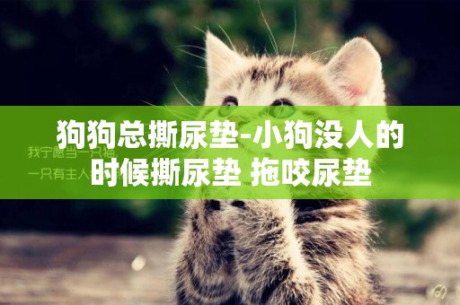 狗狗總撕尿墊-小狗沒人的時候撕尿墊 拖咬尿墊