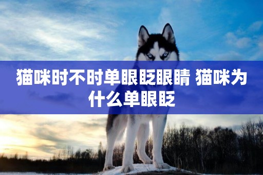 貓咪時不時單眼眨眼睛 貓咪為什么單眼眨