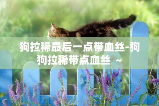 狗拉稀最后一點帶血絲-狗狗拉稀帶點血絲 ～
