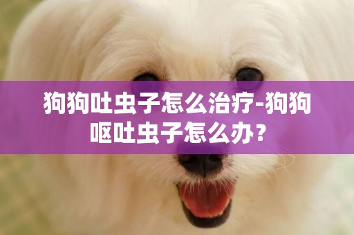 狗狗吐蟲子怎么治療-狗狗嘔吐蟲子怎么辦？