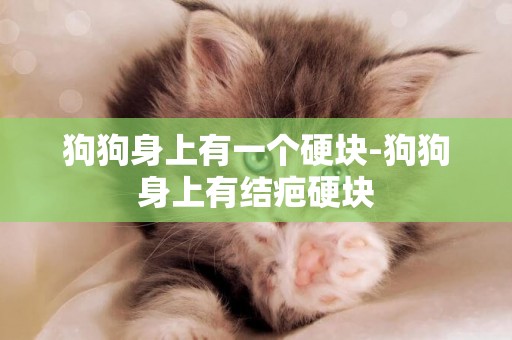 狗狗身上有一個硬塊-狗狗身上有結疤硬塊