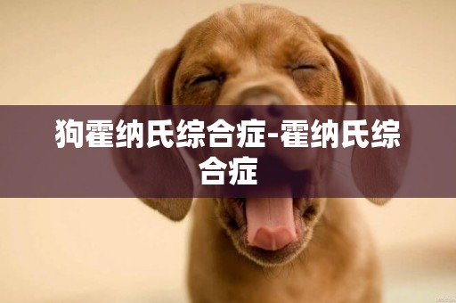 狗霍納氏綜合癥-霍納氏綜合癥