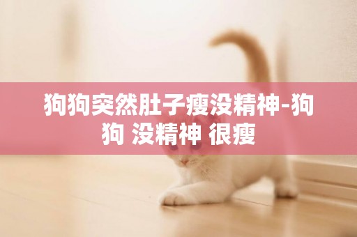 狗狗突然肚子瘦沒精神-狗狗 沒精神 很瘦