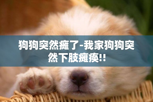 狗狗突然癱了-我家狗狗突然下肢癱瘓!!