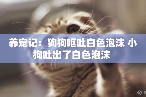 養寵記：狗狗嘔吐白色泡沫 小狗吐出了白色泡沫 