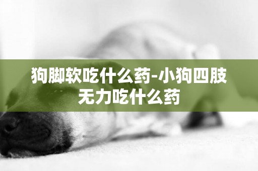 狗腳軟吃什么藥-小狗四肢無力吃什么藥
