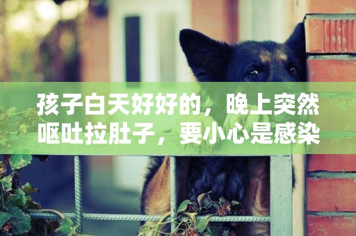 孩子白天好好的，晚上突然嘔吐拉肚子，要小心是感染了這種病毒 