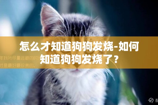 怎么才知道狗狗發燒-如何知道狗狗發燒了？