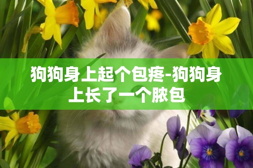 狗狗身上起個包疼-狗狗身上長了一個膿包