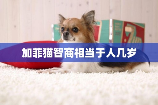 加菲貓智商相當于人幾歲