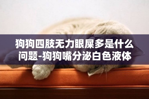 狗狗四肢無力眼屎多是什么問題-狗狗嘴分泌白色液體四肢無力眼睛有眼屎多