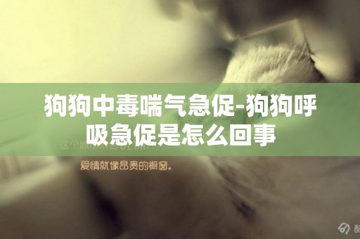狗狗中毒喘氣急促-狗狗呼吸急促是怎么回事