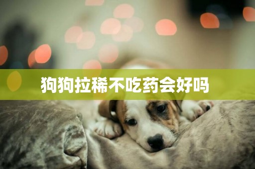 狗狗拉稀不吃藥會好嗎 