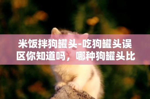 米飯拌狗罐頭-吃狗罐頭誤區你知道嗎，哪種狗罐頭比較好