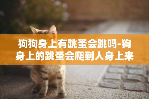 狗狗身上有跳蚤會跳嗎-狗身上的跳蚤會爬到人身上來么。